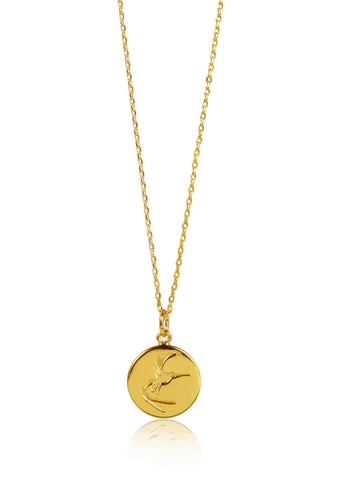 DISC NECKLACE - HUMMINGBIRD